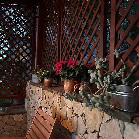 Con Giardino Vista Mare Ferienhaus Capitana